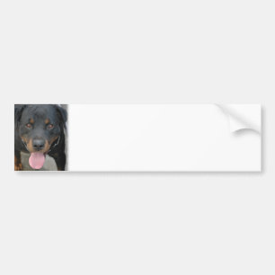 Adesivo Para Carro Autocolante no vidro traseiro da imagem de