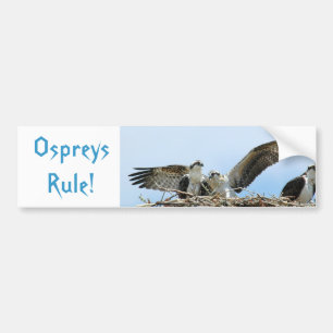 Adesivo Para Carro Autocolante no vidro traseiro da regra dos Ospreys