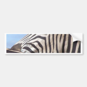 Adesivo Para Carro Autocolante no vidro traseiro da zebra