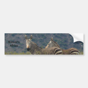 Adesivo Para Carro Autocolante no vidro traseiro da zebra
