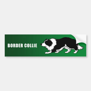 Adesivo Para Carro Autocolante no vidro traseiro de border collie