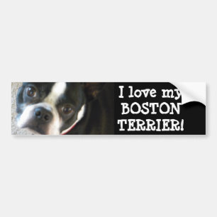 Adesivo Para Carro Autocolante no vidro traseiro de BOSTON