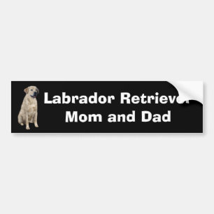 Adesivo Para Carro Autocolante no vidro traseiro de labrador