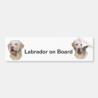 Adesivo Para Carro autocolante no vidro traseiro de Labrador