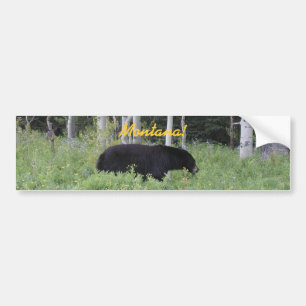 Adesivo Para Carro Autocolante no vidro traseiro de Montana do urso