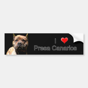 Adesivo Para Carro Autocolante no vidro traseiro de Presa Canario