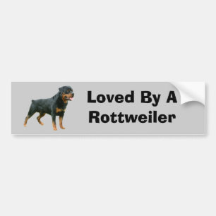 Adesivo Para Carro Autocolante no vidro traseiro de Rottweiler