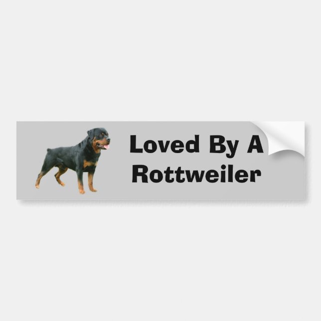 Adesivo Para Carro Autocolante no vidro traseiro de Rottweiler (Frente)