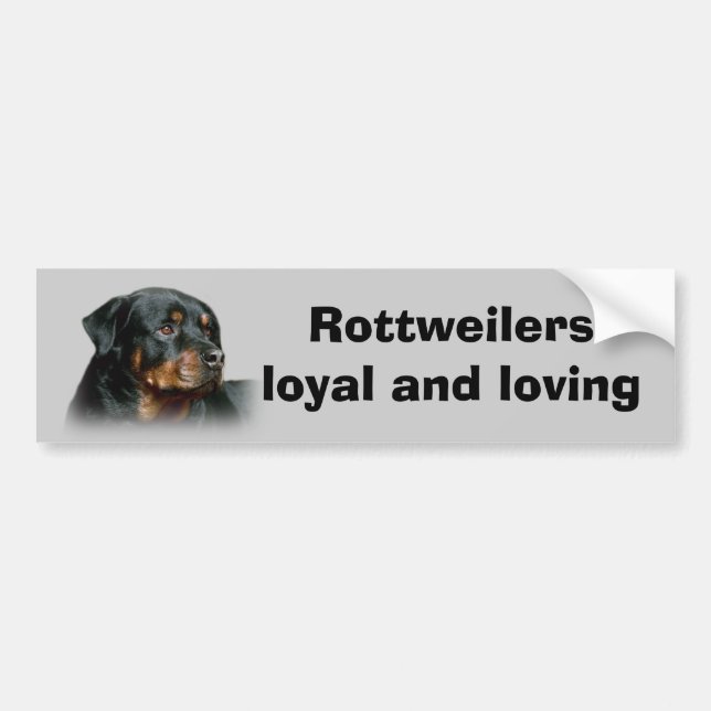 Adesivo Para Carro Autocolante no vidro traseiro de Rottweiler (Frente)