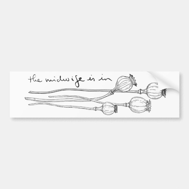 Adesivo Para Carro Autocolante no vidro traseiro de TMII (Frente)