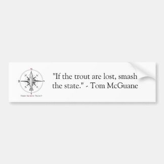 Adesivo Para Carro Autocolante no vidro traseiro de TNT