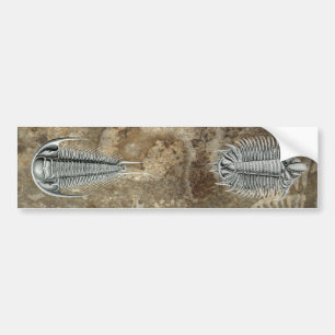 Adesivo Para Carro Autocolante no vidro traseiro de Trilobites