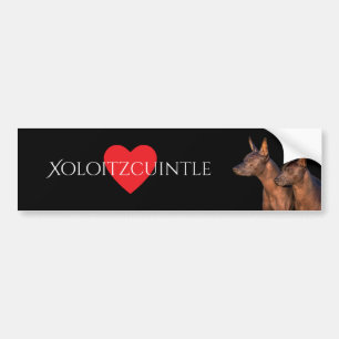 Adesivo Para Carro Autocolante no vidro traseiro de Xoloitzcuintle