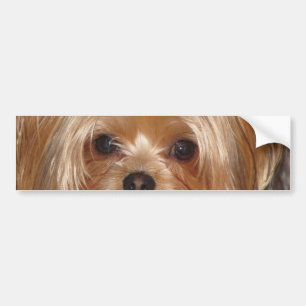 Adesivo Para Carro Autocolante no vidro traseiro de Yorkie