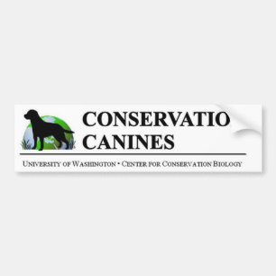 Adesivo Para Carro Autocolante no vidro traseiro do canino da