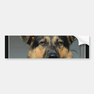 Adesivo Para Carro Autocolante no vidro traseiro do cão de german