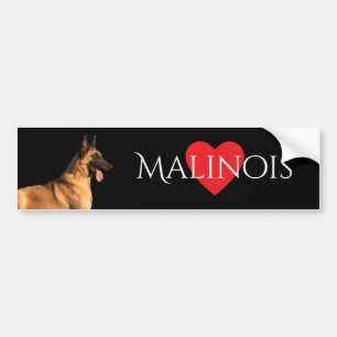Adesivo Para Carro Autocolante no vidro traseiro do cão de Malinois