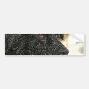Adesivo Para Carro Autocolante no vidro traseiro do cão de Terra Nov