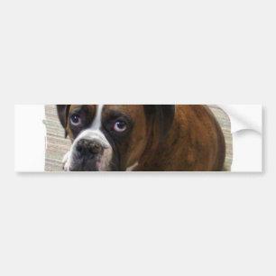 Adesivo Para Carro Autocolante no vidro traseiro do cão do pugilista