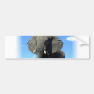 Adesivo Para Carro Autocolante no vidro traseiro do elefante africano