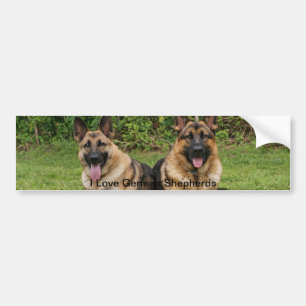 Adesivo Para Carro Autocolante no vidro traseiro do german shepherd