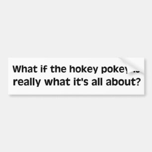 Adesivo Para Carro Autocolante no vidro traseiro do Pokey de Hokey
