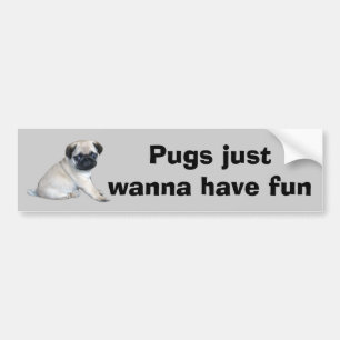 Adesivo Para Carro Autocolante no vidro traseiro do Pug