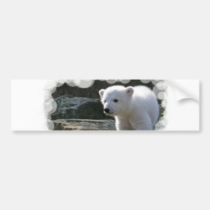 Adesivo Para Carro Autocolante no vidro traseiro do urso polar do