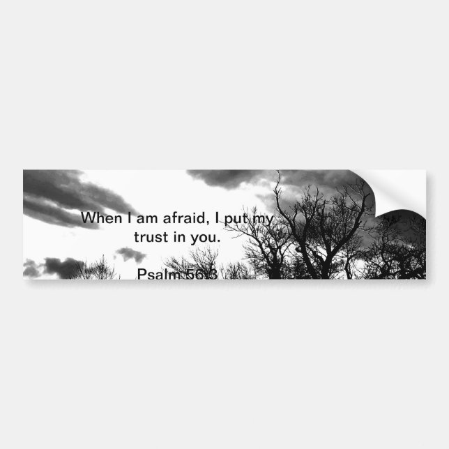 Adesivo Para Carro Autocolante no vidro traseiro do verso da bíblia (Frente)