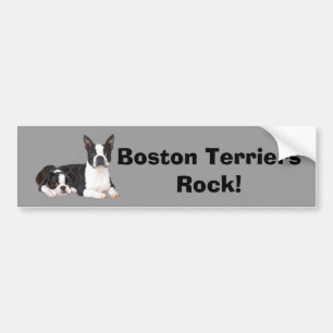 Adesivo Para Carro Autocolante no vidro traseiro dos amigos de Boston