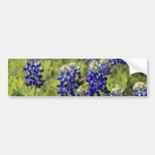 Adesivo Para Carro Autocolante no vidro traseiro dos Bluebonnets de