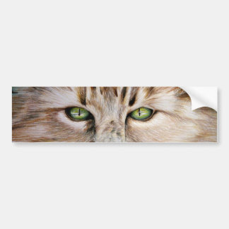 Adesivo Para Carro Autocolante no vidro traseiro dos olhos de gato