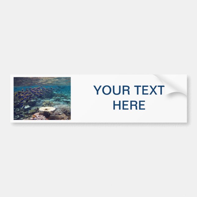 Adesivo Para Carro Autocolante no vidro traseiro - peixe do cirurgião (Frente)