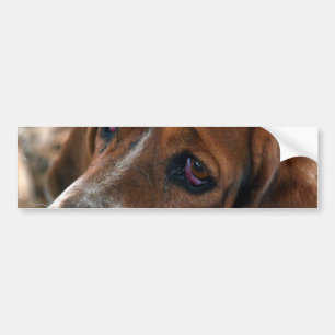 Adesivo Para Carro Autocolantes no vidro traseiro do design de Basset