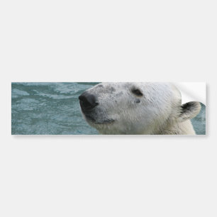 Adesivo Para Carro Autocolantes no vidro traseiro do perfil do urso