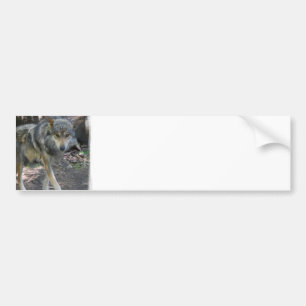 Adesivo Para Carro Autocolantes no vidro traseiro Prowling do lobo
