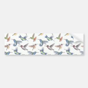 Adesivo Para Carro Aves