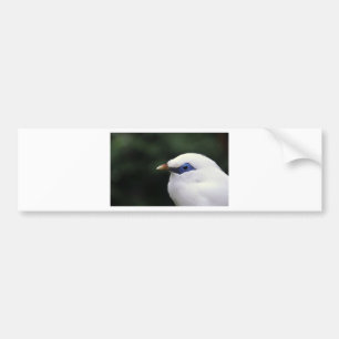 Adesivo Para Carro Aves