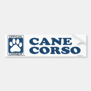 Adesivo Para Carro Azul de Corso do bastão