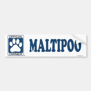 Adesivo Para Carro Azul de Maltipoo