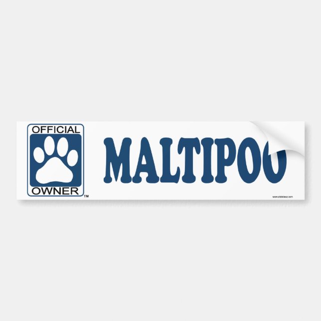 Adesivo Para Carro Azul de Maltipoo (Frente)