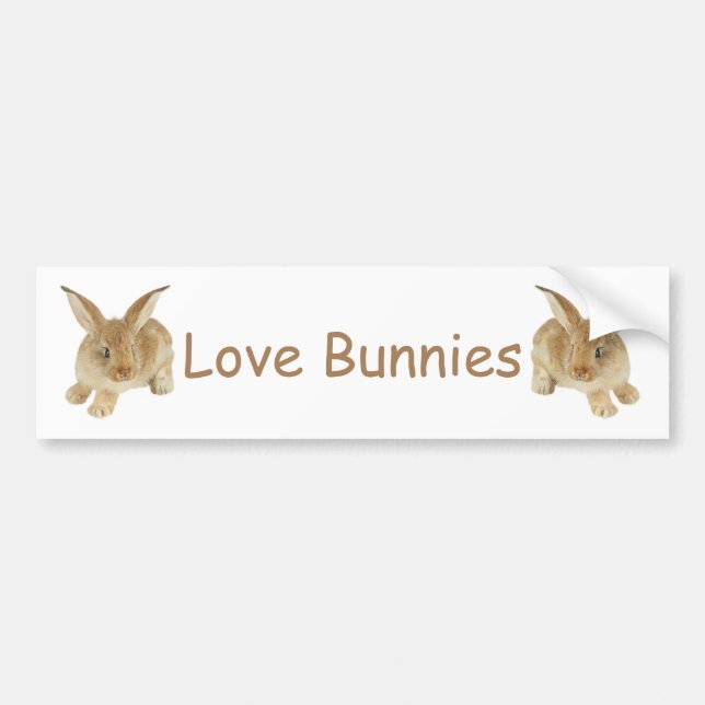 ADESIVO PARA CARRO BABY BUNNY (Frente)