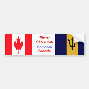 Adesivo Para Carro Bajan-canadiano para-choques
