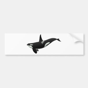 Adesivo Para Carro Baleia de assassino preto e branco da orca