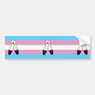 Adesivo Para Carro Bandeira do Orgulho Trans com Dois Espiros