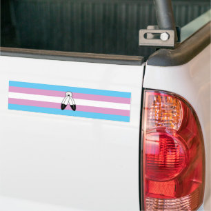 Adesivo Para Carro Bandeira do Orgulho Trans Two-Spirit
