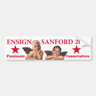 Adesivo Para Carro Bandeira Sanford 2012