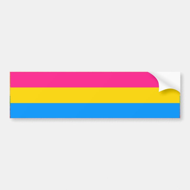 ADESIVO PARA CARRO BAR PANSEXUAL DA BANDEIRA DO ORGULHO (Frente)