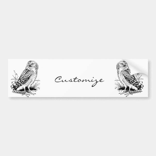 Adesivo Para Carro Barn Owl Thunder_Cove (Frente)