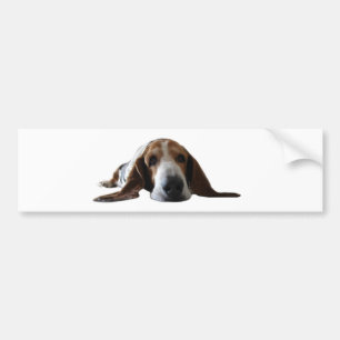 Adesivo Para Carro Basset Hound que encontra-se para baixo
